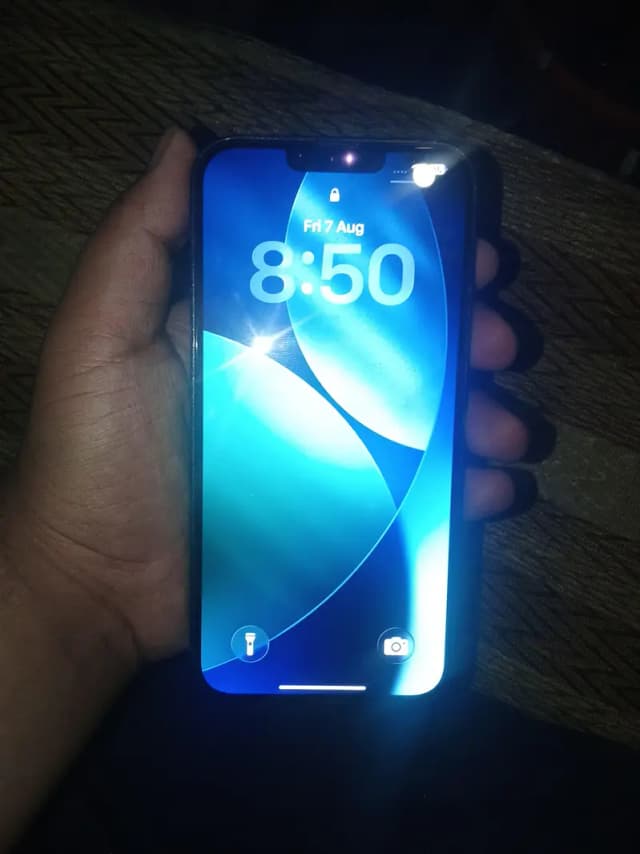 Apple iPhone 13 Pro Max