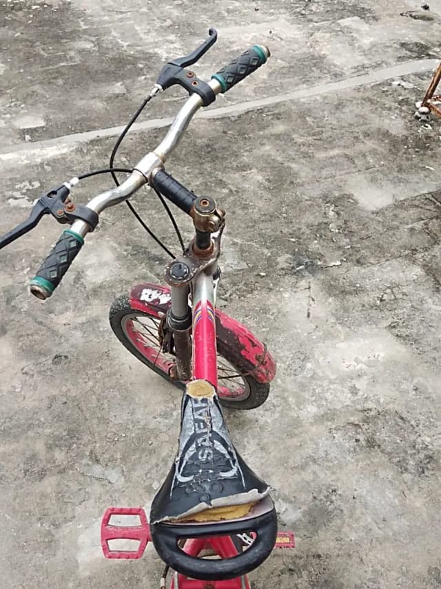 cycle sale