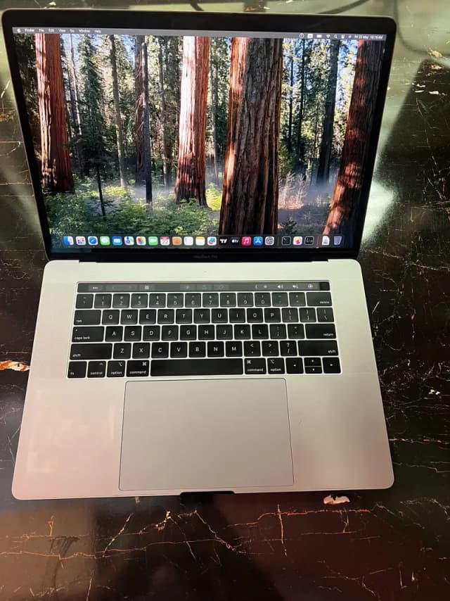 Apple MacBook Pro 15-inch 2018 (Core i9 / 32GB RAM / 500GB NVME