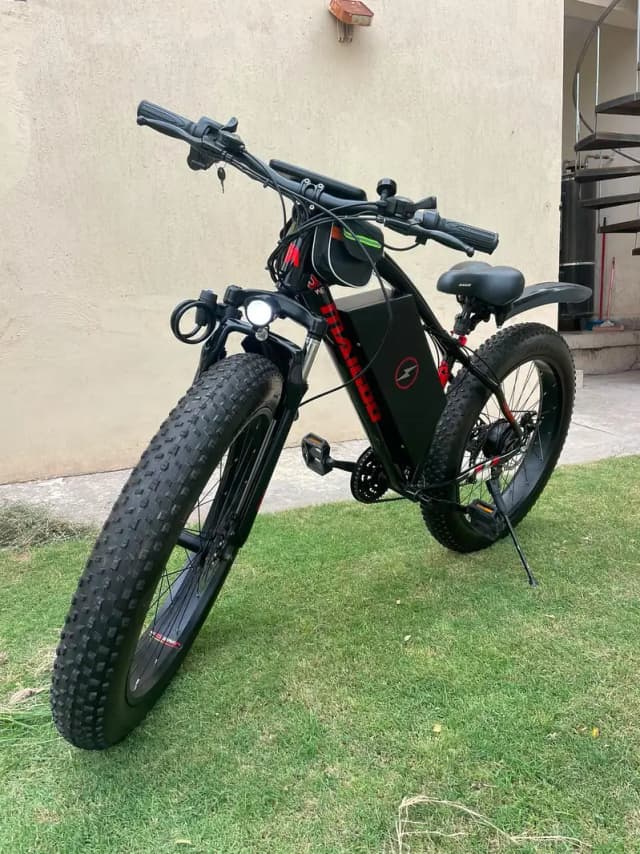 electric cycle for sell