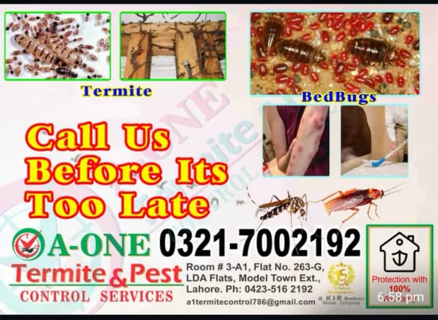 Fumgation/Cockroches solution/Bed bugs/pest control · Termite