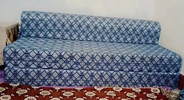 sofa cum bed