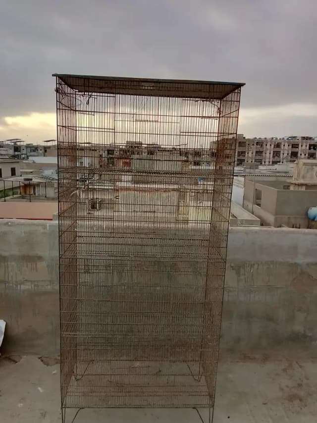 Bara Iron Bird Cage For Sale