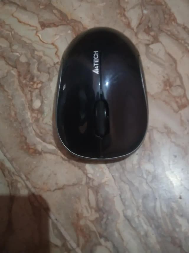 mouse