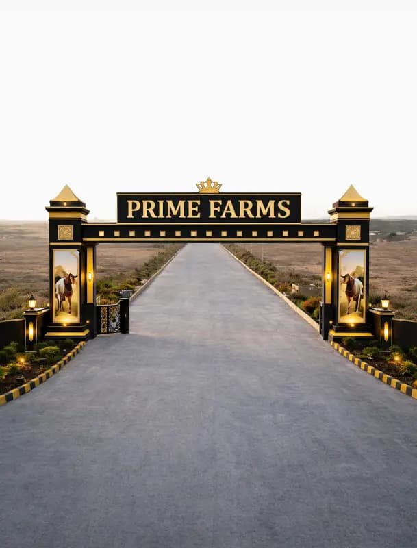 Cattle Farm dairy farm