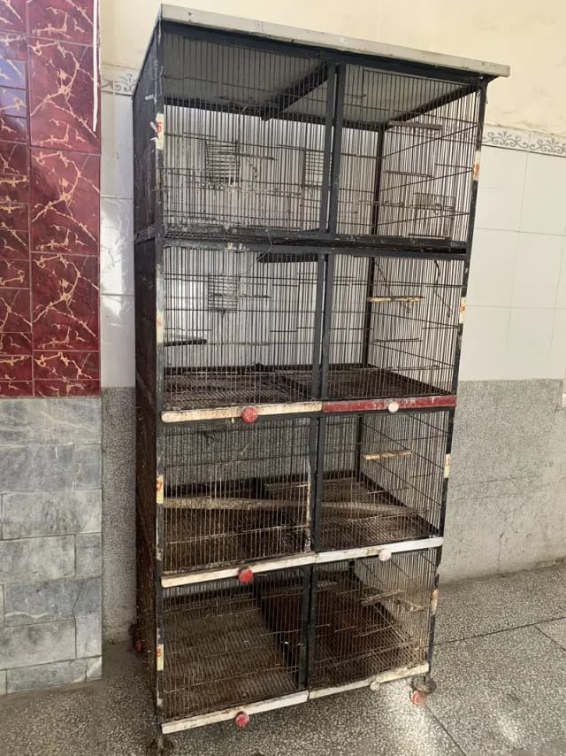 Cage 8portion