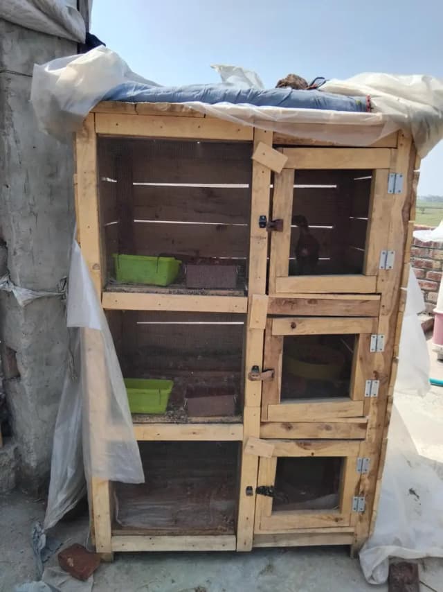 wooden new cage Available for sale location Lahore santer park