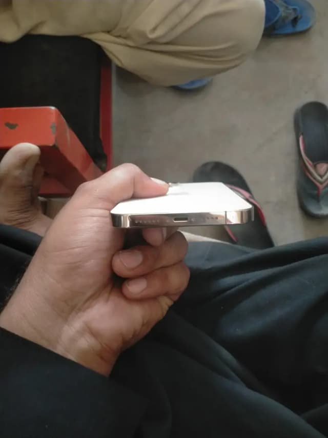 Apple iPhone 13 Pro Max