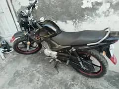 Yamaha YBR 125G 2024 Model | Totally Genuine | Urgent Sale