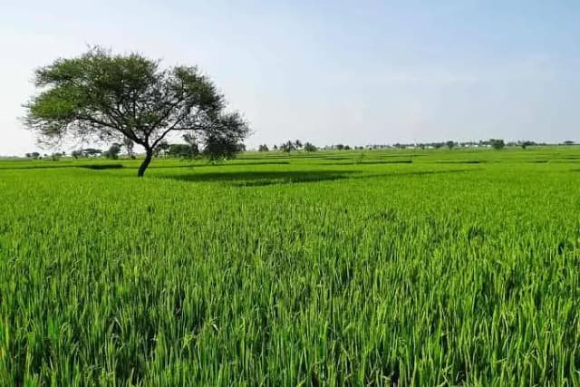 Industrial land available for sale