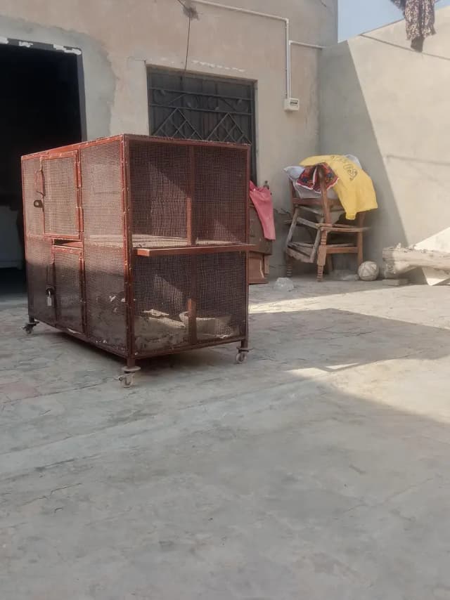 cage for sale okay
