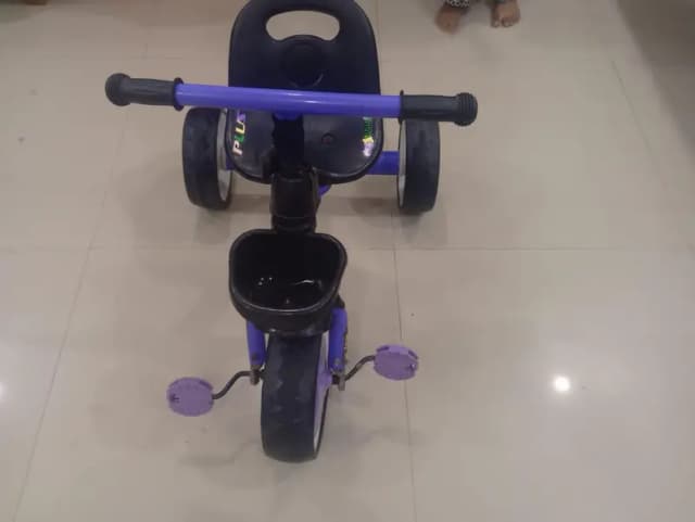 Chinese cycle