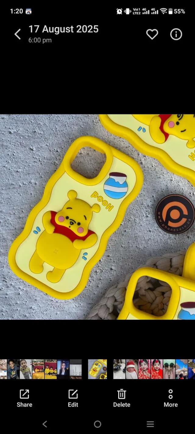 12 pro max case