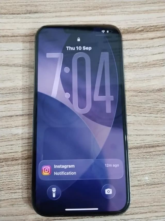 Apple iPhone 13 Pro Max 256 GB
