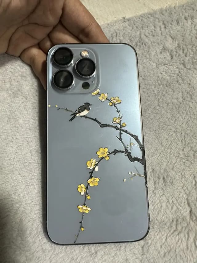 Apple iPhone 13 Pro