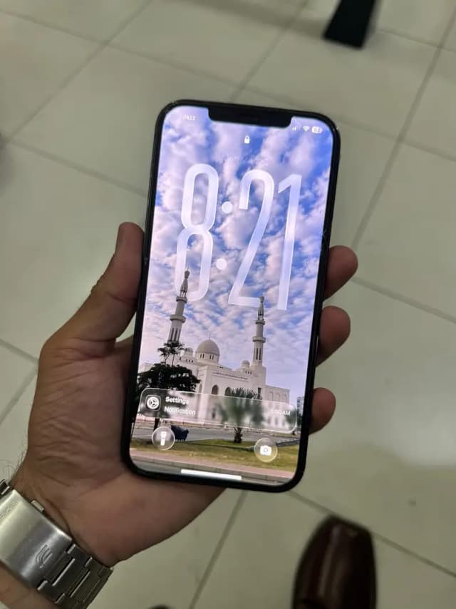 Iphone 12 pro max  pta approved