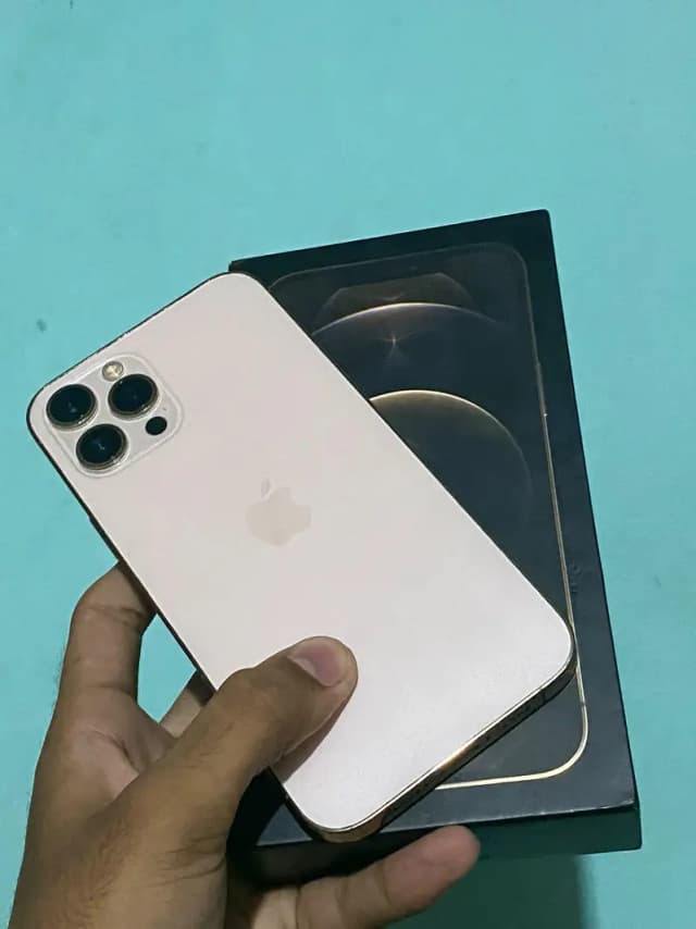 Apple iPhone 12 Pro Max