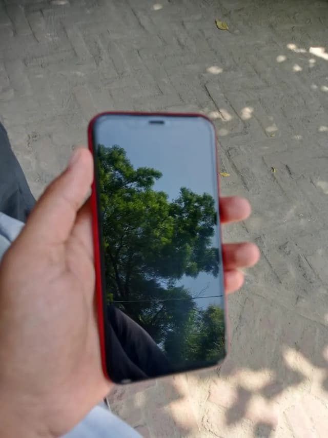 Apple iPhone 11