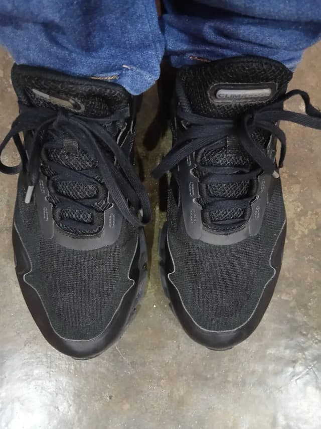 Adidas original branded