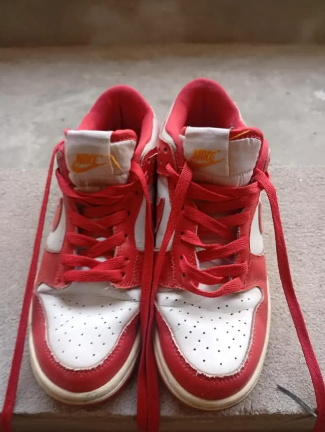 Nike low dunks red colour