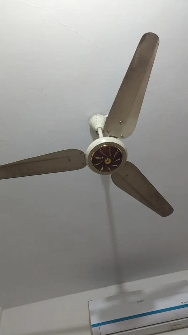 AC DC Fan