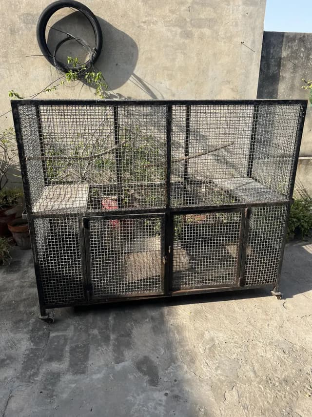 heavy wire cage