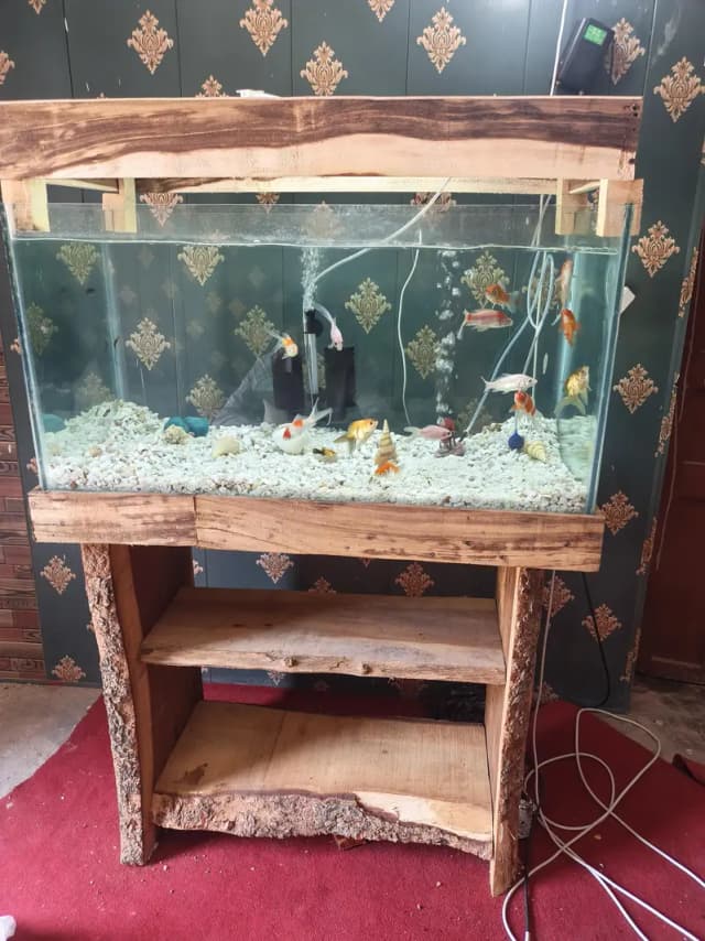 wood Fish Aquarium & fishes for sale