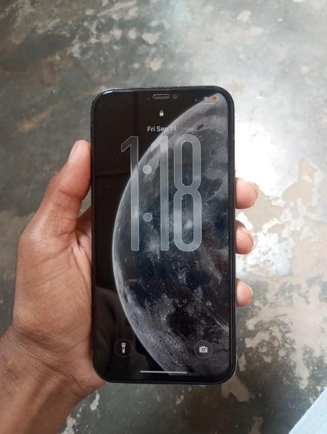 Apple iPhone 12 Pro Max
