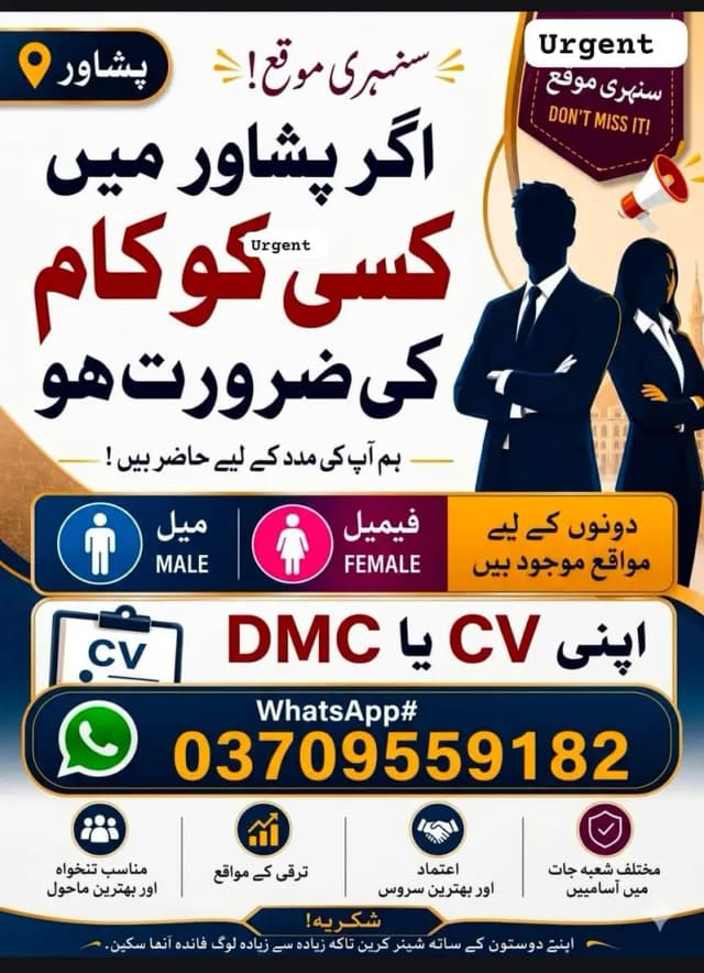 office work male and female required