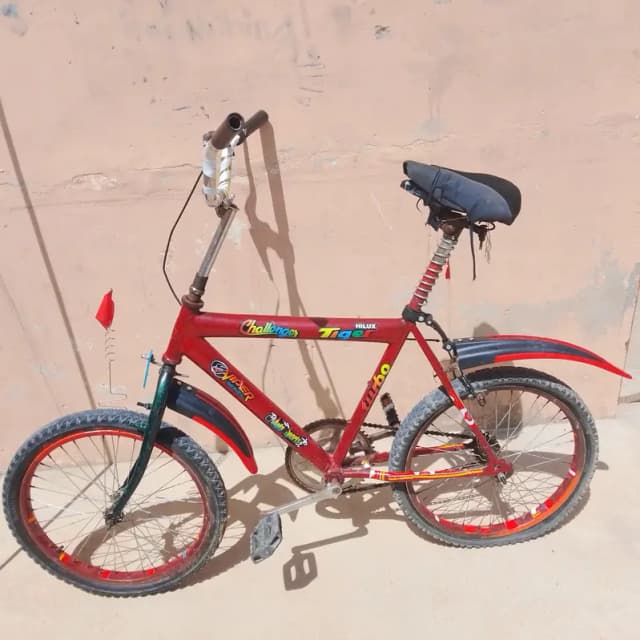 Challenger Tiger 20" Normal Cycle - Kotlr Hyderabad