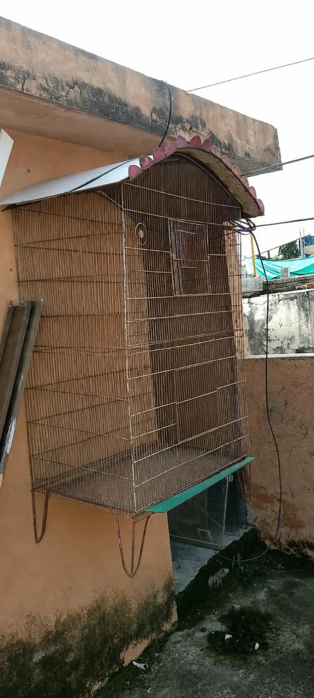 Bird Cage for Sale