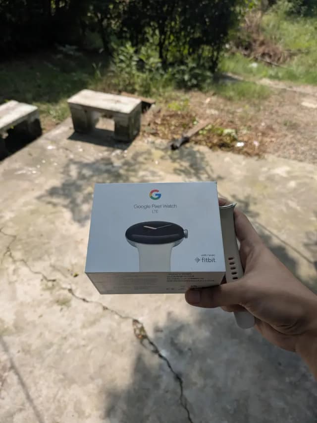 Pixel Watch LTE