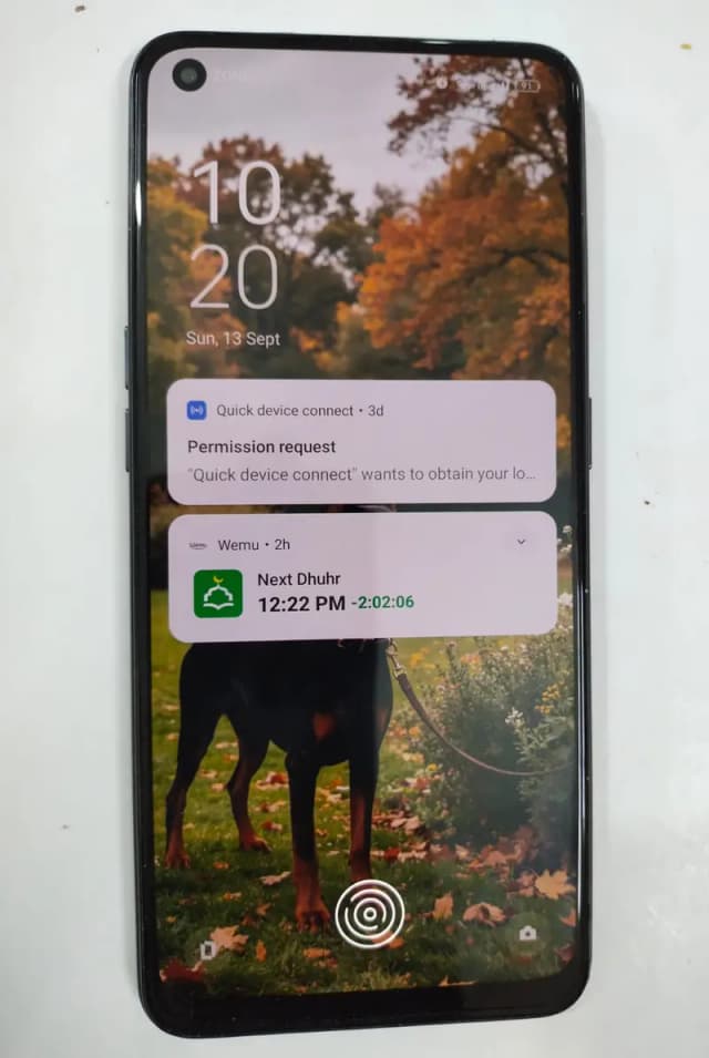 Oppo F19 PTA Approved | Excellent 10/10 Condition | Full Box + Charger