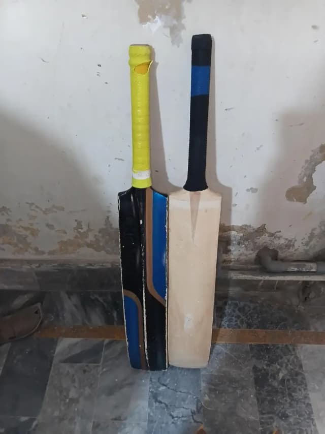 Two bats