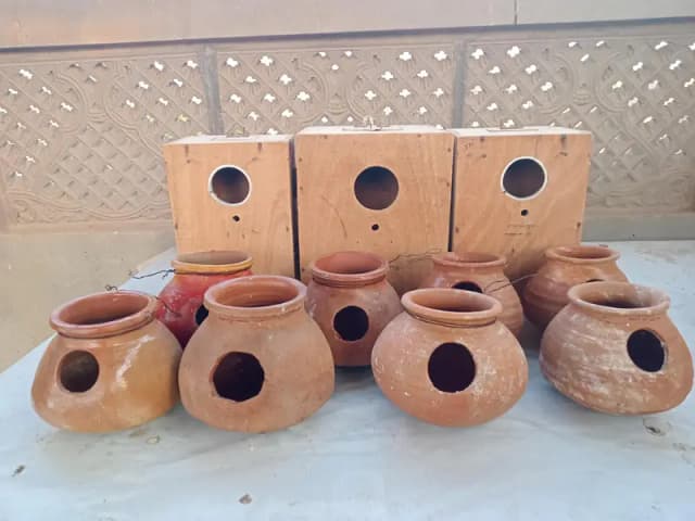 All setup for sale Exchange possible with birds or hens