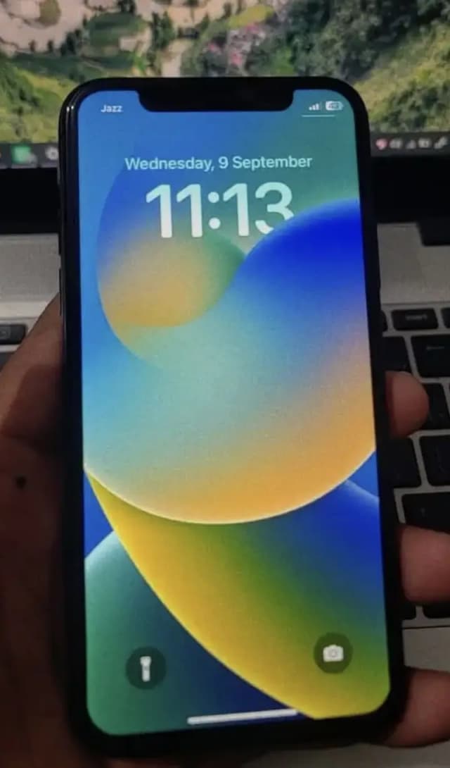 Apple iPhone X pta 256 gb