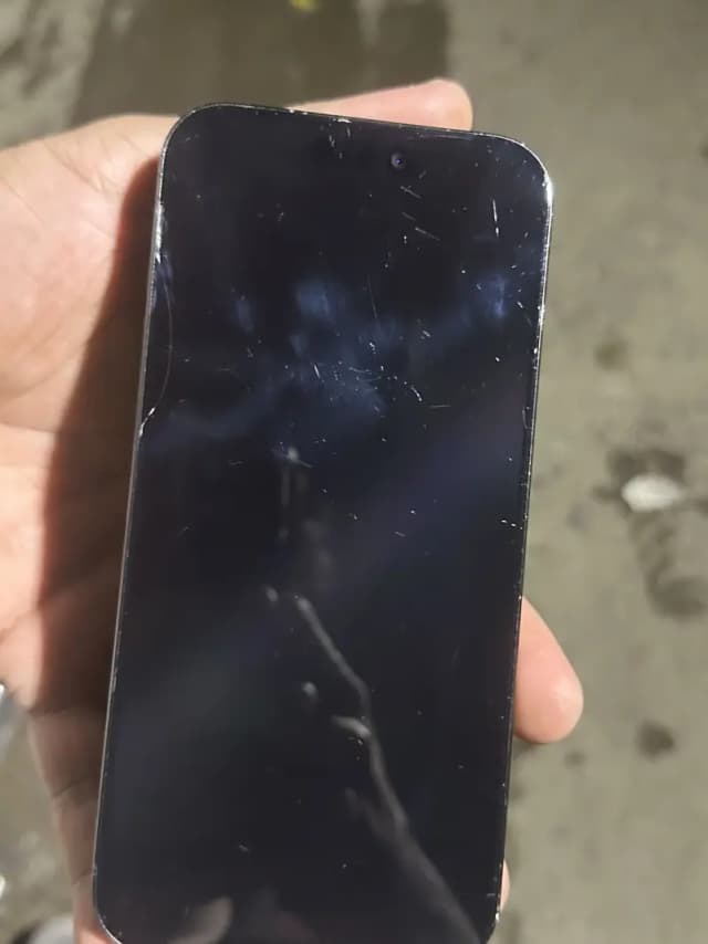 Apple iPhone 16 Pro Max