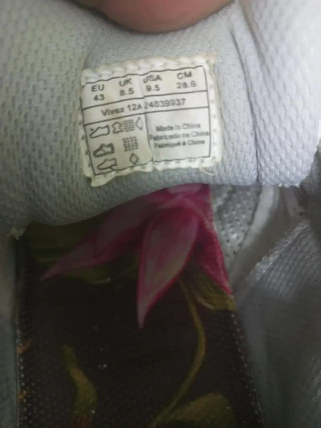 sports shoes