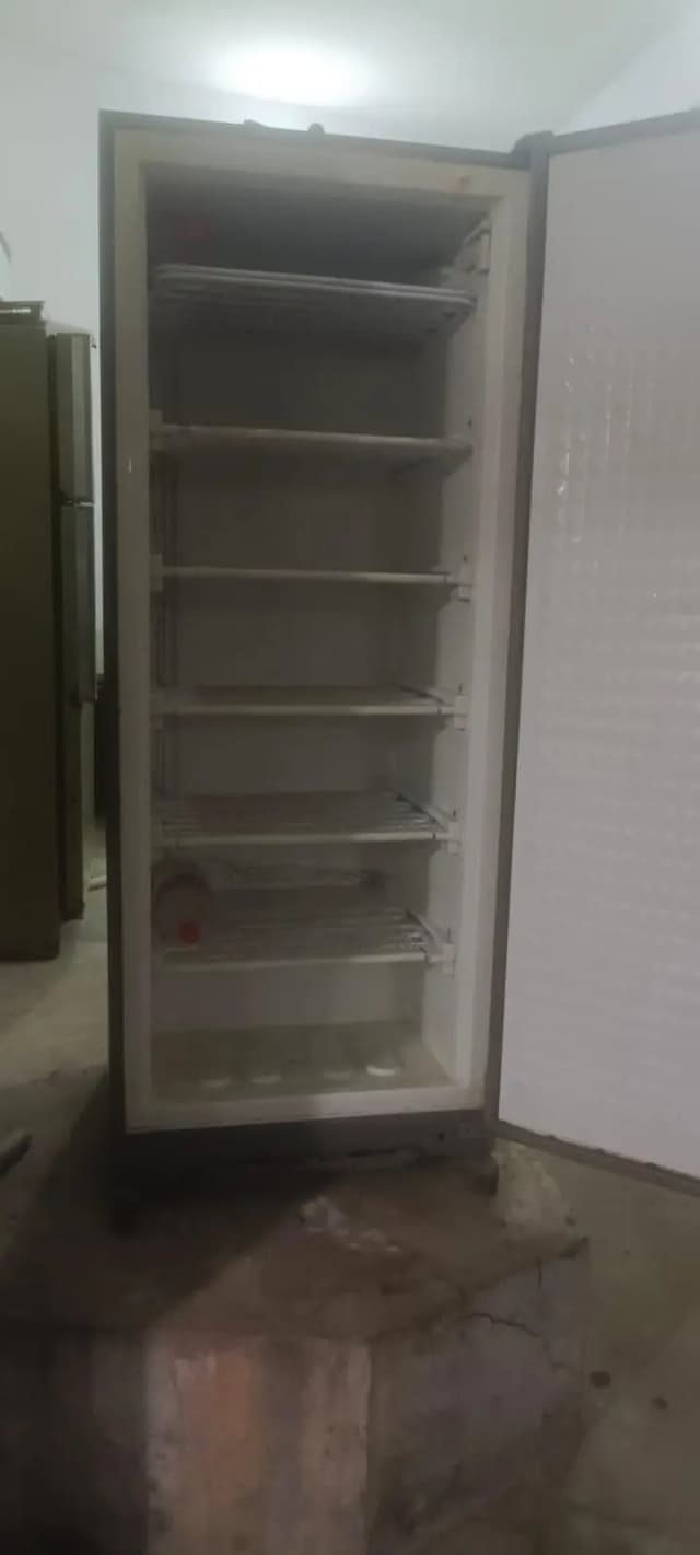 vertical deep freezer