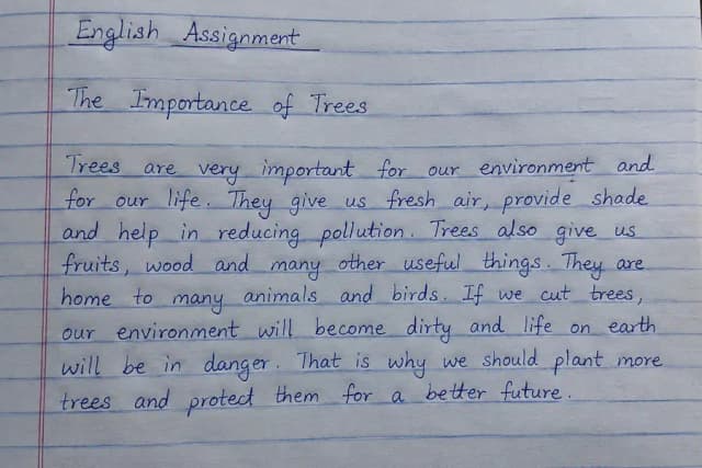 “Assignment Help | Formatting | Proofreading | Study Notes”