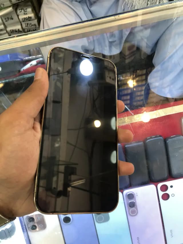 Apple iPhone 12 Pro Max
