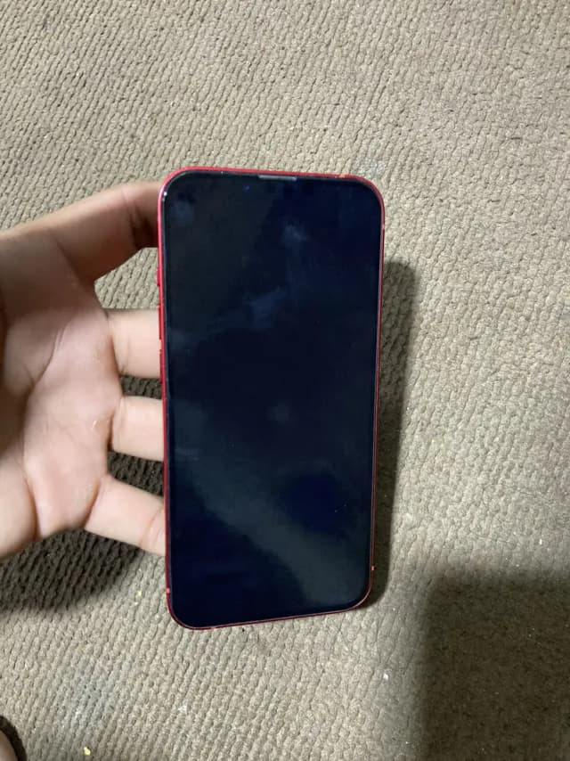 iPhone 13
