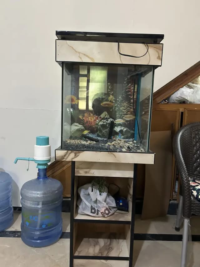Fish Aquarium