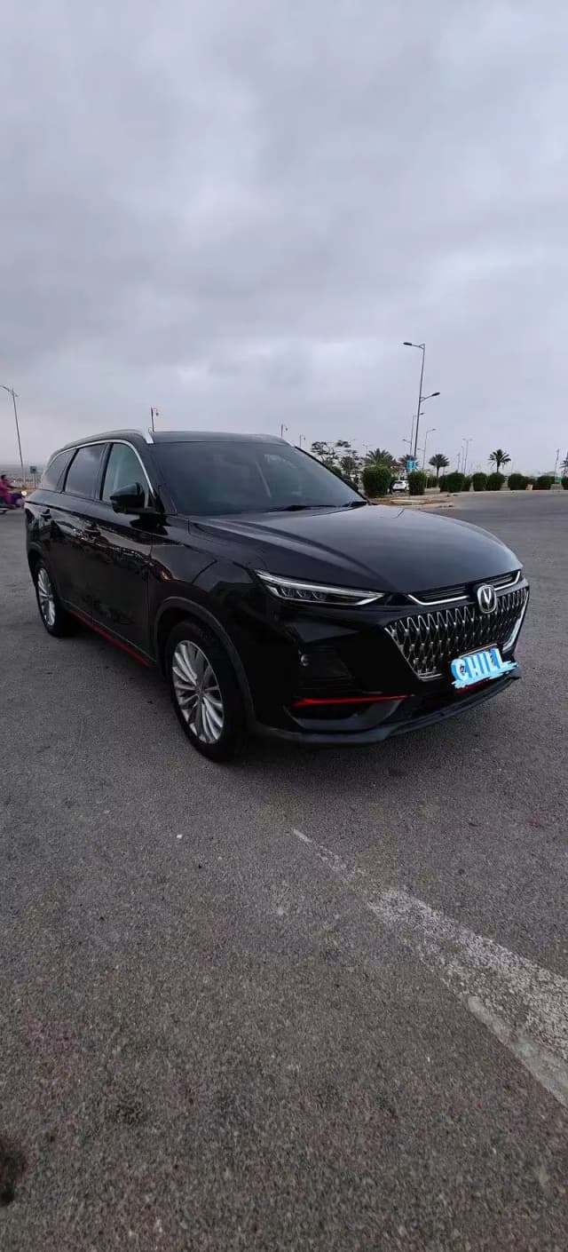 Changan Oshan X7 2024