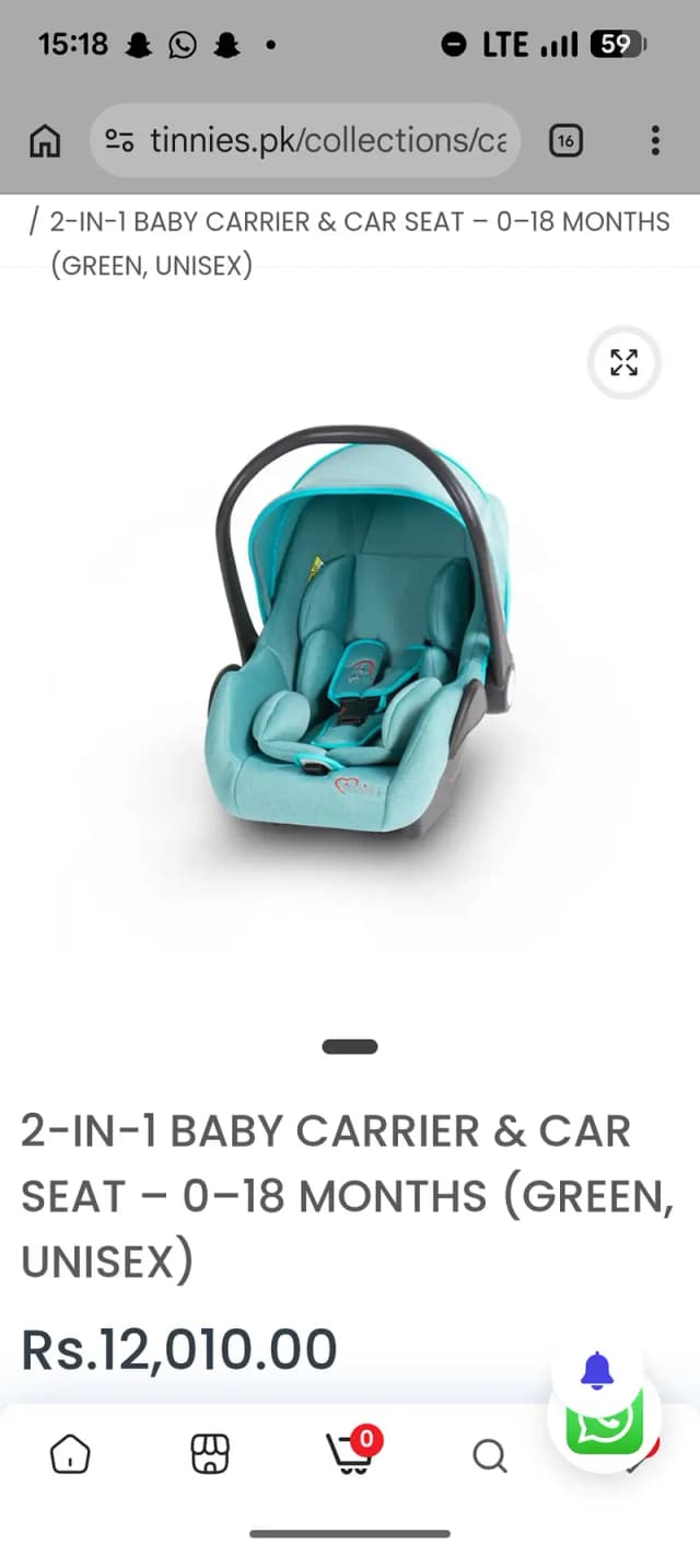 Tinnies 2 in 1 car seat