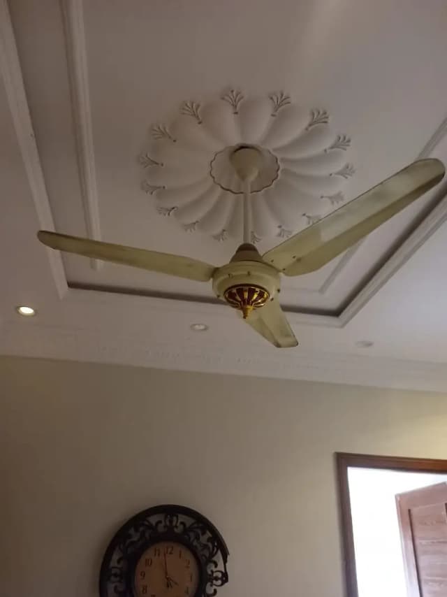 Ceiling fan