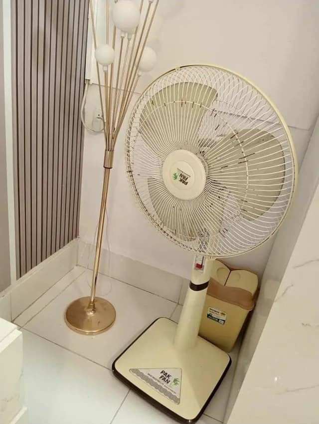 Pak fan pedestal fan great condition