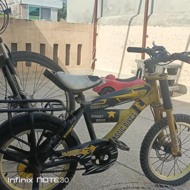 2 cycle for sale