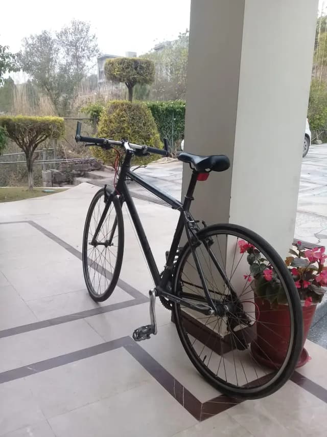 cycle for sale