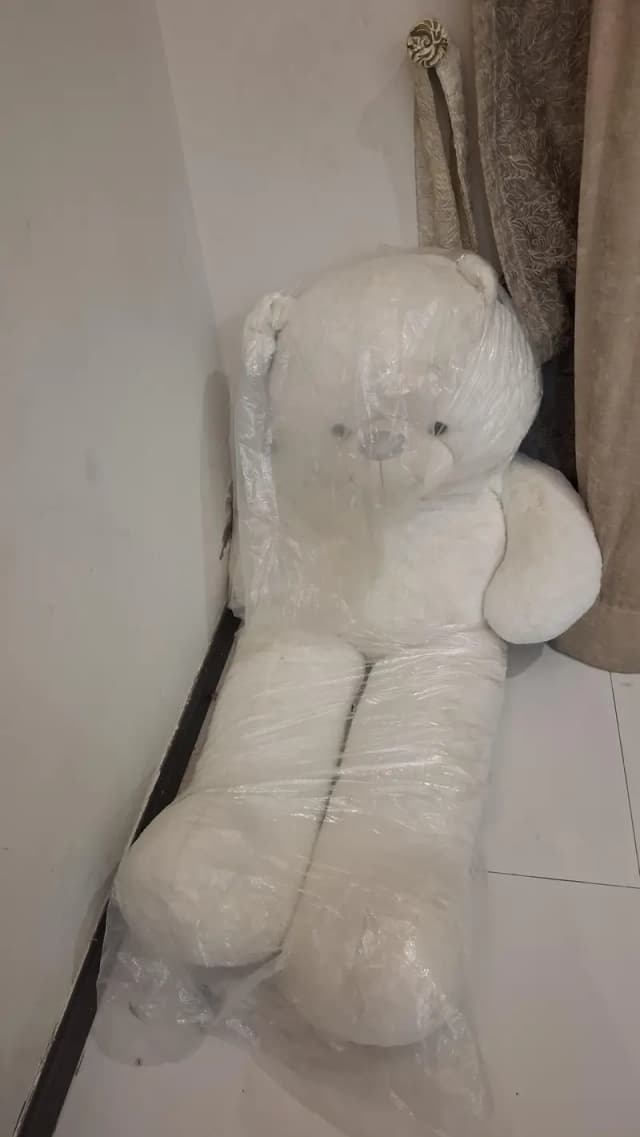 teddy bear